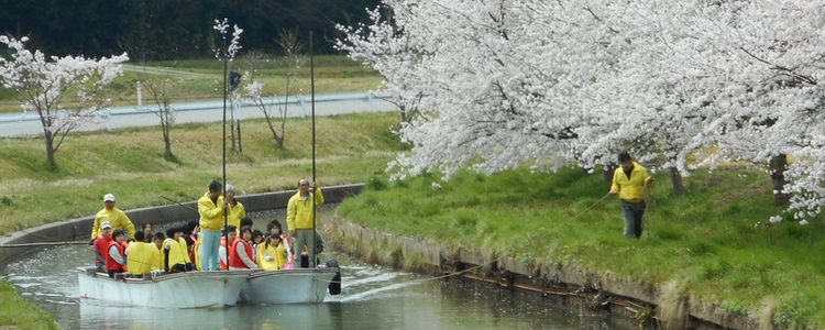 日用川桜まつりでの花見舟運行の様子その１