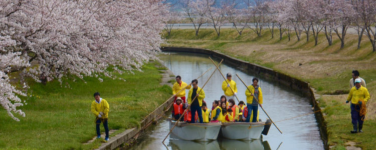 日用川桜まつりでの花見舟運行の様子その２