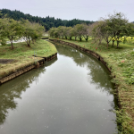 上流側の除草後