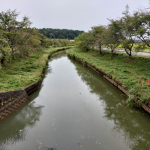 下流側の除草後風景